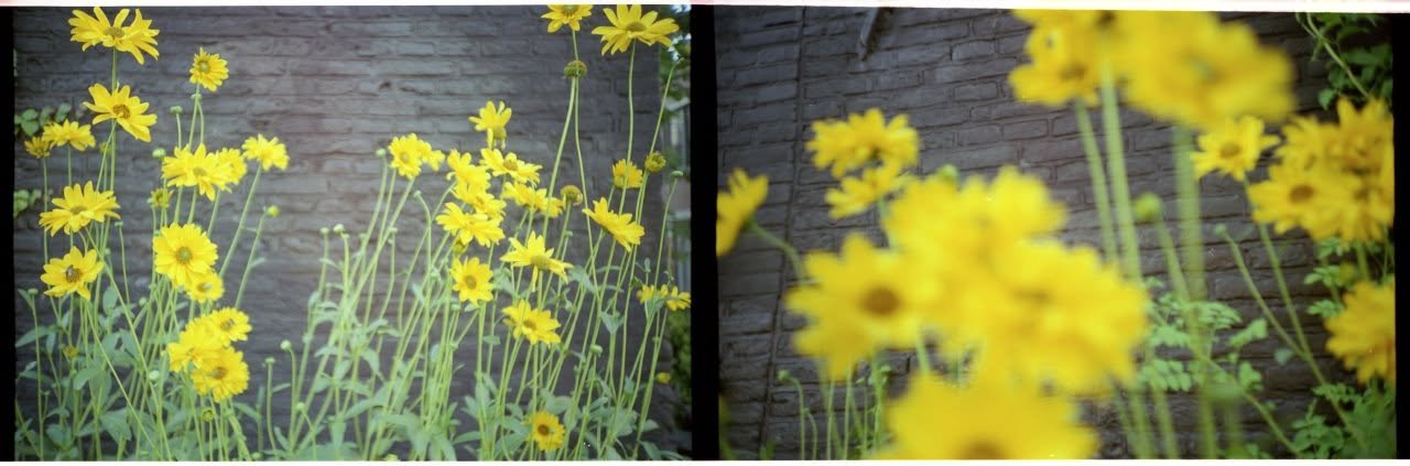 Film
